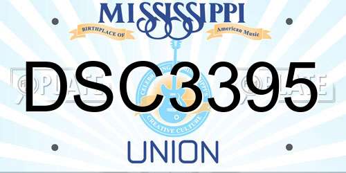 DSC3395 Mississippi License Plate