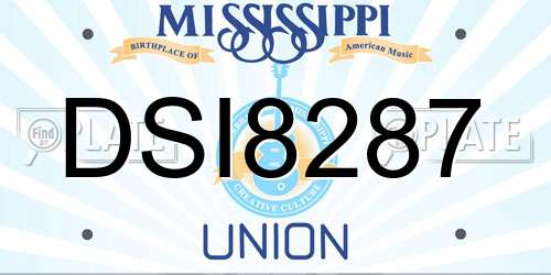 DSI8287 Mississippi License Plate