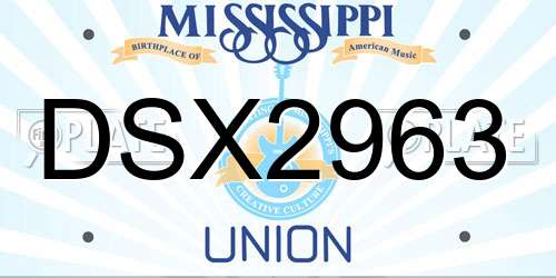 DSX2963 Mississippi License Plate