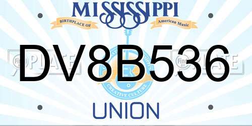DV8B536 Mississippi License Plate