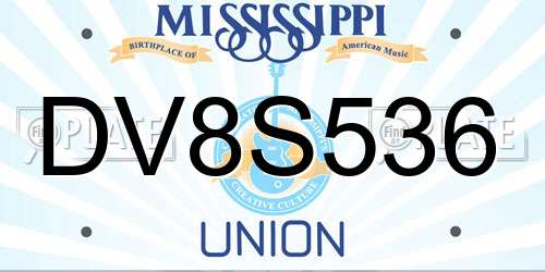 DV8S536 Mississippi License Plate