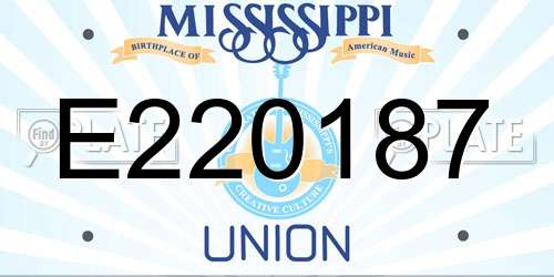 E220187 Mississippi License Plate