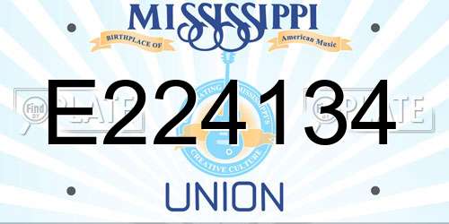 E224134 Mississippi License Plate
