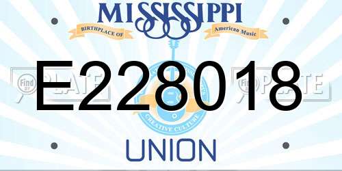 E228018 Mississippi License Plate