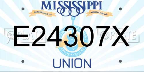 E24307X Mississippi License Plate