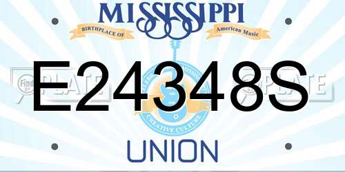 E24348S Mississippi License Plate