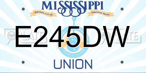 E245DW Mississippi License Plate