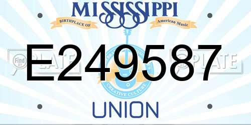E249587 Mississippi License Plate
