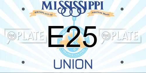 E25 Mississippi License Plate