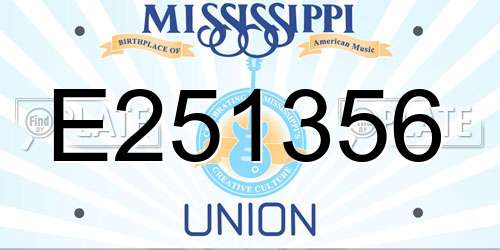 E251356 Mississippi License Plate