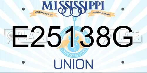 E25138G Mississippi License Plate