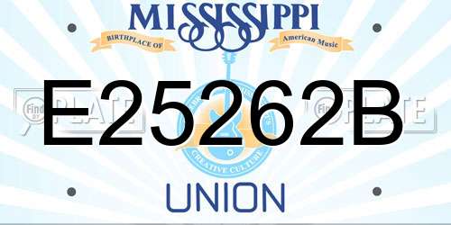 E25262B Mississippi License Plate