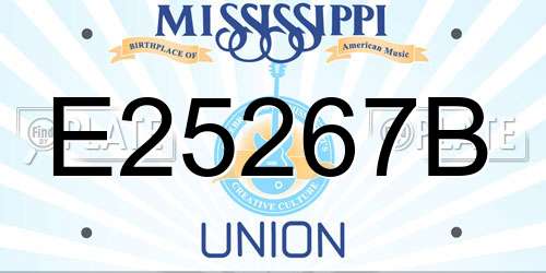 E25267B Mississippi License Plate