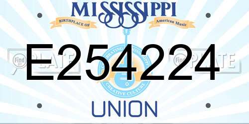 E254224 Mississippi License Plate