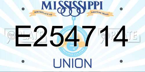 E254714 Mississippi License Plate