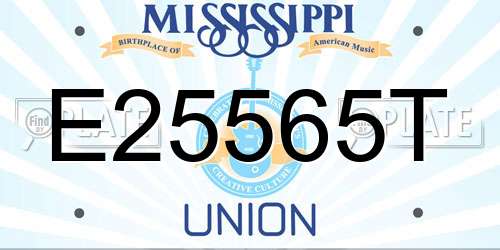 E25565T Mississippi License Plate