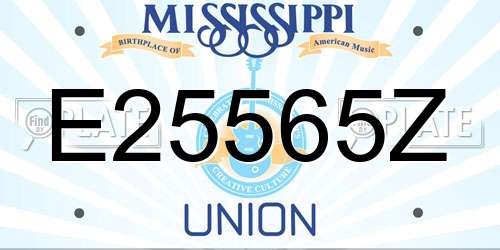 E25565Z Mississippi License Plate