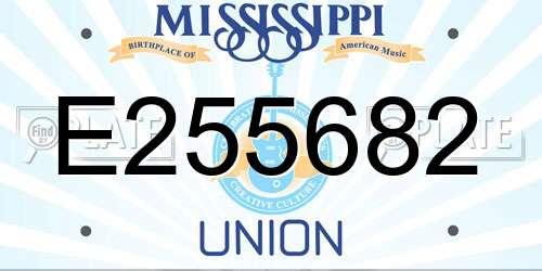 E255682 Mississippi License Plate