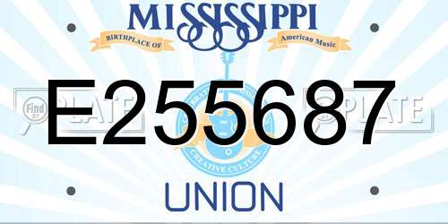 E255687 Mississippi License Plate