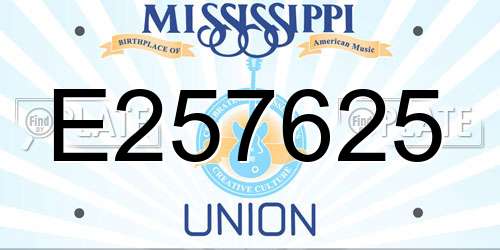 E257625 Mississippi License Plate