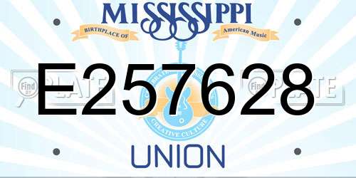 E257628 Mississippi License Plate