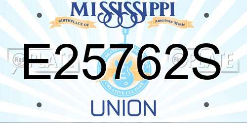 E25762S Mississippi License Plate