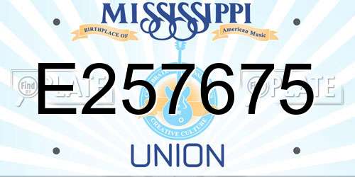 E257675 Mississippi License Plate