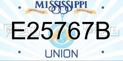 E25767B Mississippi License Plate