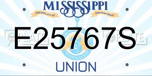 E25767S Mississippi License Plate