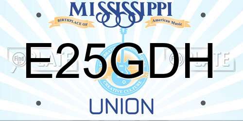 E25GDH Mississippi License Plate