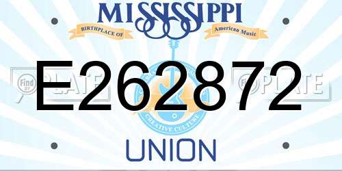 E262872 Mississippi License Plate