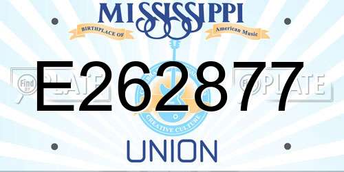 E262877 Mississippi License Plate