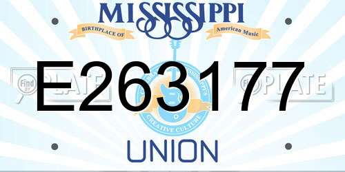 E263177 Mississippi License Plate
