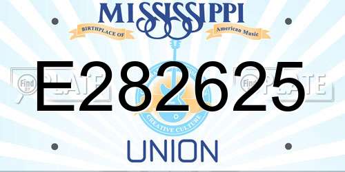 E282625 Mississippi License Plate