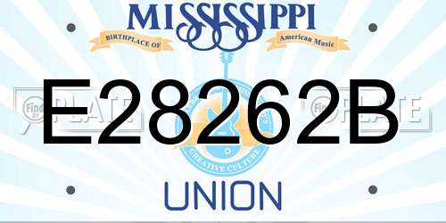 E28262B Mississippi License Plate