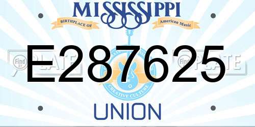 E287625 Mississippi License Plate