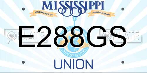 E288GS Mississippi License Plate