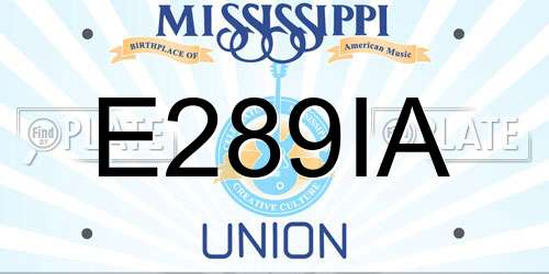 E289IA Mississippi License Plate
