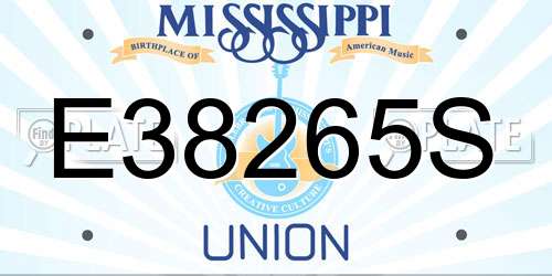 E38265S Mississippi License Plate
