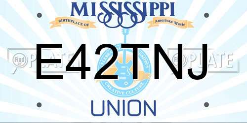 E42TNJ Mississippi License Plate