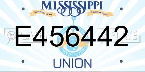 E456442 Mississippi License Plate
