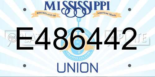E486442 Mississippi License Plate