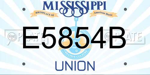 E5854B Mississippi License Plate