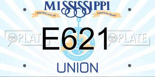 E621 Mississippi License Plate