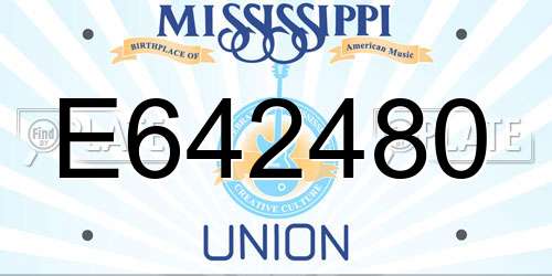 E642480 Mississippi License Plate