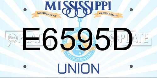 E6595D Mississippi License Plate