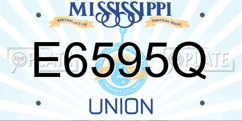E6595Q Mississippi License Plate