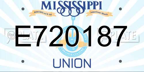 E720187 Mississippi License Plate