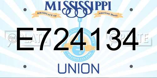 E724134 Mississippi License Plate