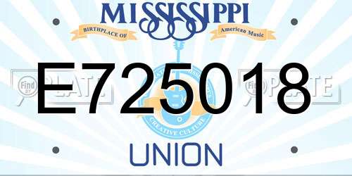 E725018 Mississippi License Plate